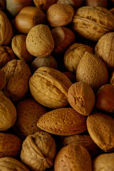 Servicio y asesoría